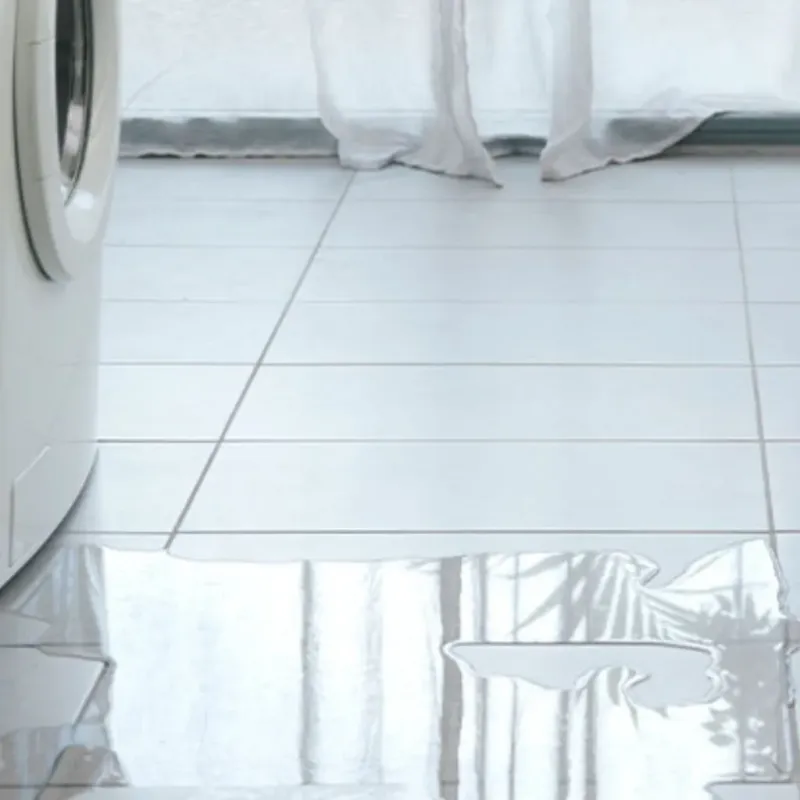 Appliance Leak Cleanup in Mower County, MN