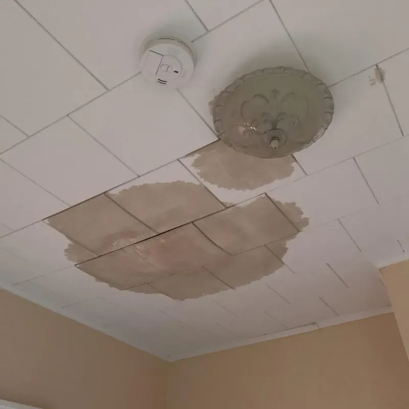 Ceiling Water Damage Repair in Mower County, MN