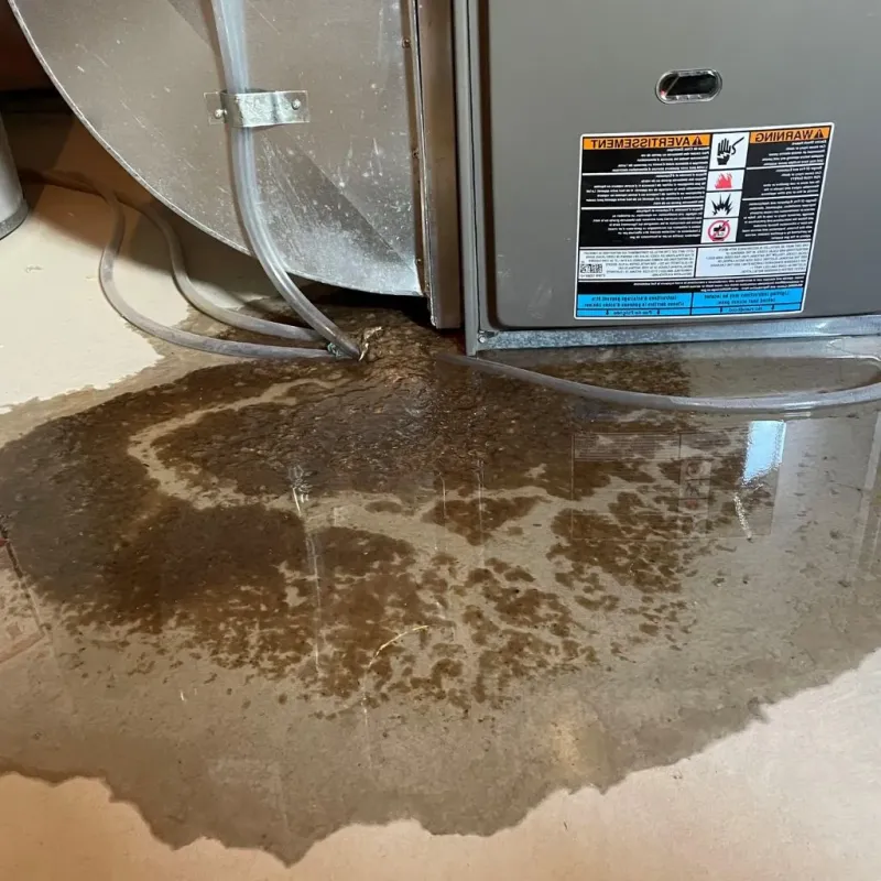 Pipe Burst and Leak Restoration in Mower County, MN