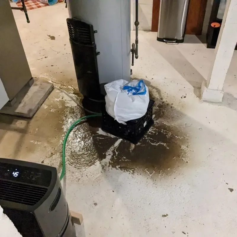 Sewage Backup Cleanup Service in Mower County, MN